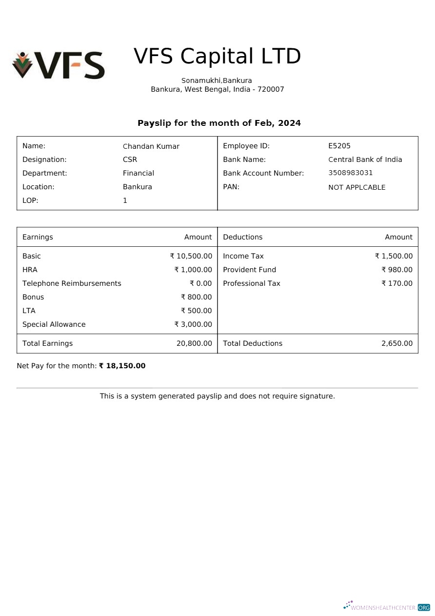 Download VFS Capital payslip template in Word and PDF formats.pdf, 1 Photoshop template